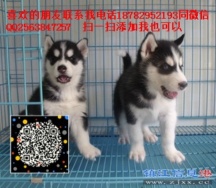 T1Q9hVFc0gXXXXXXXX_!!0-item_pic - 副本 - 副本 - 副本.jpg