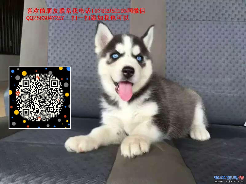 微信图片_20170812145007.jpg