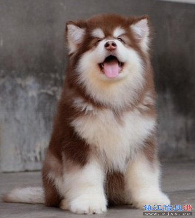 QQ截图20140725191126.png