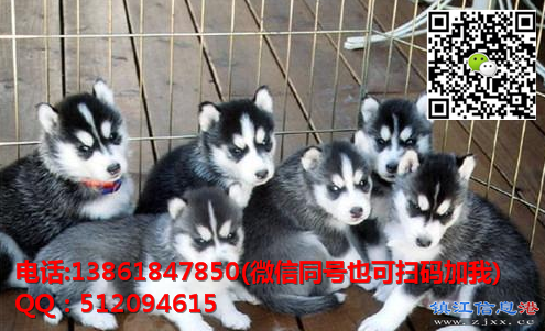 微信图片_20170629190654.png
