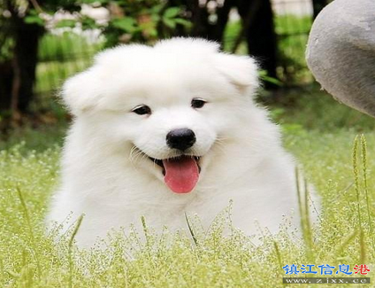 QQ截图20170522114517.png