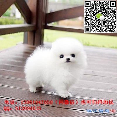 TB2qauDl9JjpuFjy0FdXXXmoFXa_!!2867822808.jpg