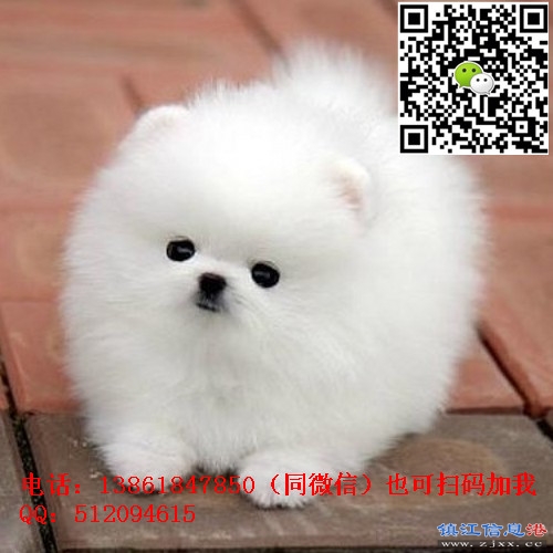 TB2BIyel3JlpuFjSspjXXcT.pXa_!!2867822808 - 副本 (2).jpg
