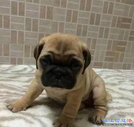 QQ截图20170803171510.jpg