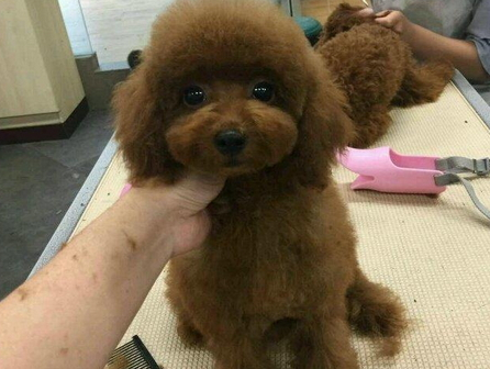 微信图片_20170807200610.png