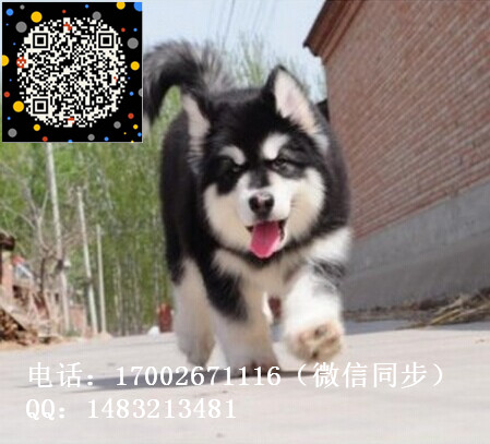 2_副本.jpg