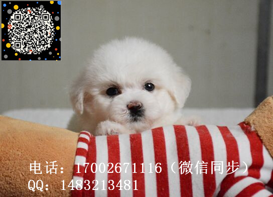 39_副本.jpg