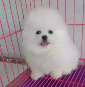 QQ截图20170704204453.png