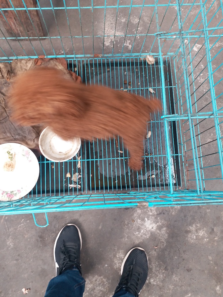 20171105_124442.jpg