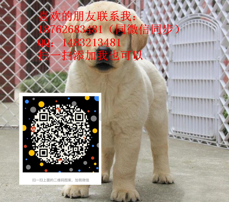 90.jpg
