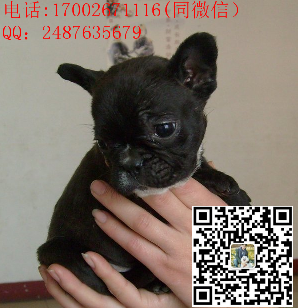 144319hii7f7f5e5t6tnf5_副本.png