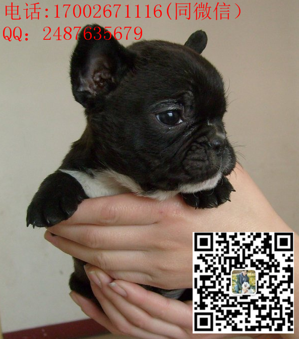 144321xsfuw1stokz1rr13_副本.png