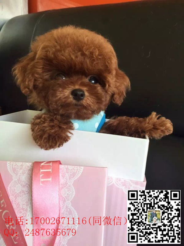 125534ehjjpsmhfzj3hg3q_副本.jpg
