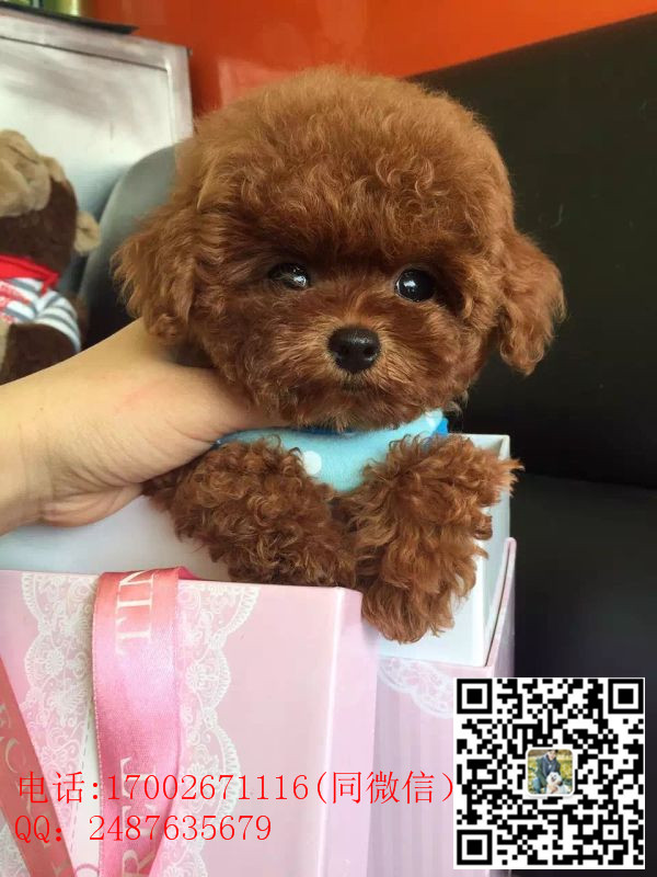 125534ba11jnwwnw3ne3ez_副本.jpg