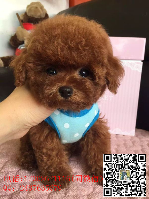 125535t71t7ttenvjtzte7_副本.jpg