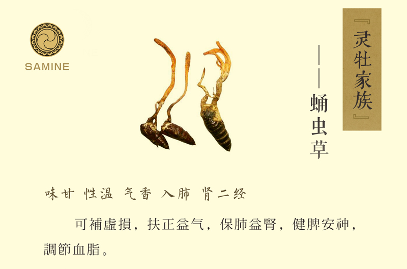 【三脉灵牡片】运动完后需要注意事项