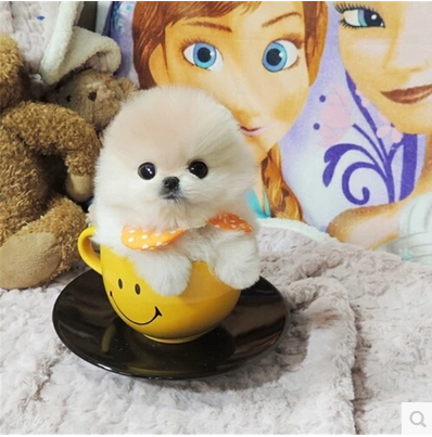 QQ图片20171203205305.png