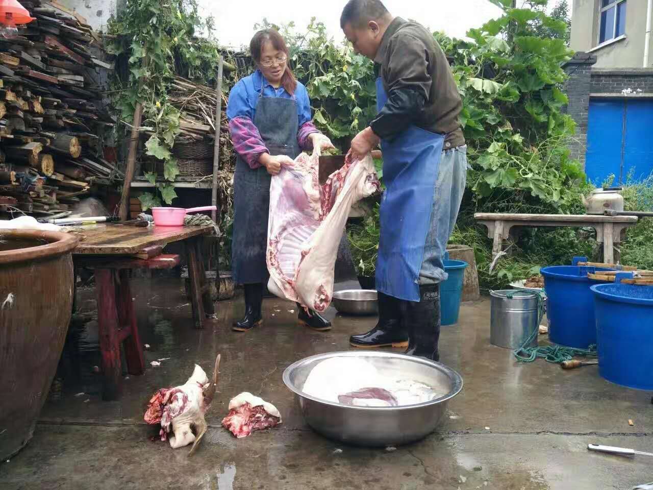 微信图片_20201021193241.jpg